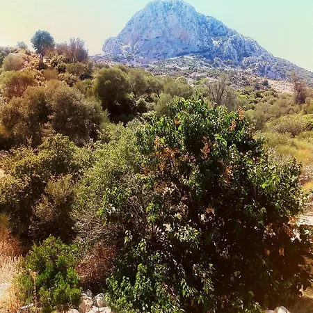 Bizim Ev Karaburun